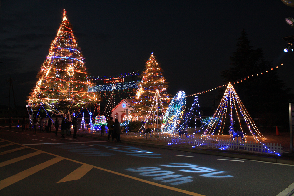 冬：クリスマスファンタジー<br>
17,000個の電球が杉の木を燈す、冬の風物詩です。